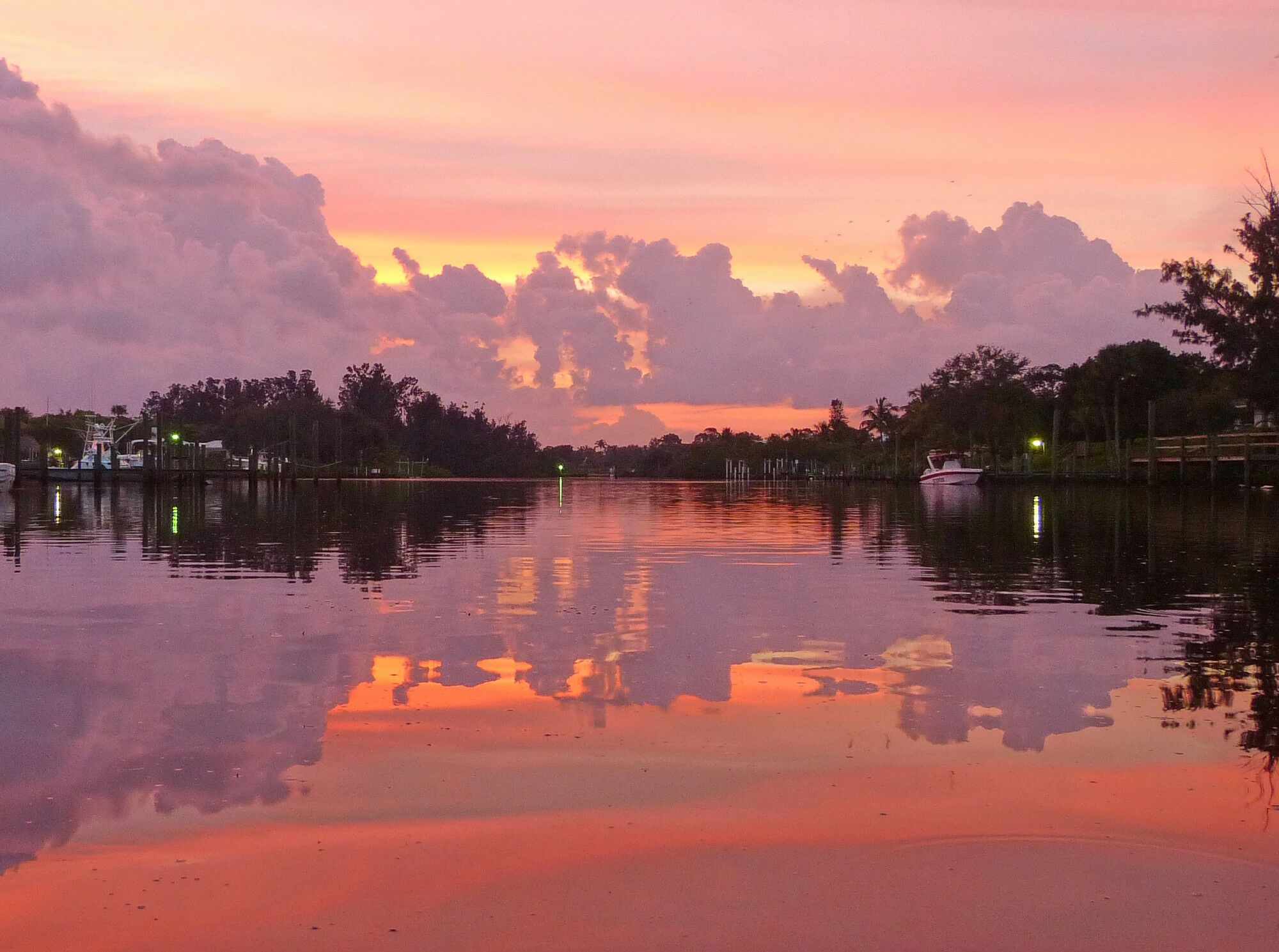 Click to See Next Image